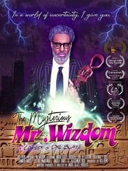 The Mysterious Mr Wizdom (2021)